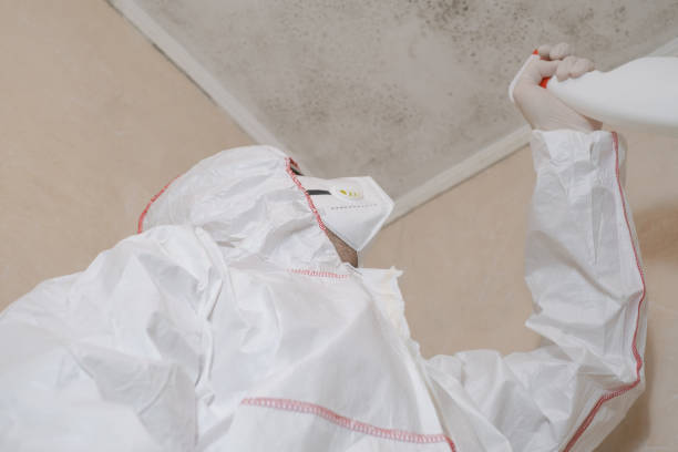 Water Damage Restoration in Bellevue, OH
