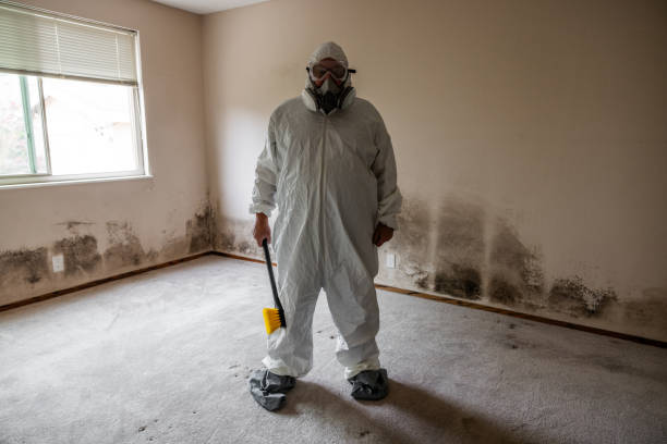 Best Office Mold Removal Services  in Bellevue, OH